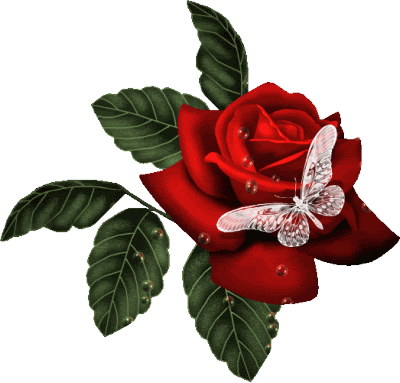 http://th638.photobucket.com/albums/uu103/steven_abdul21/th_redrose.gif